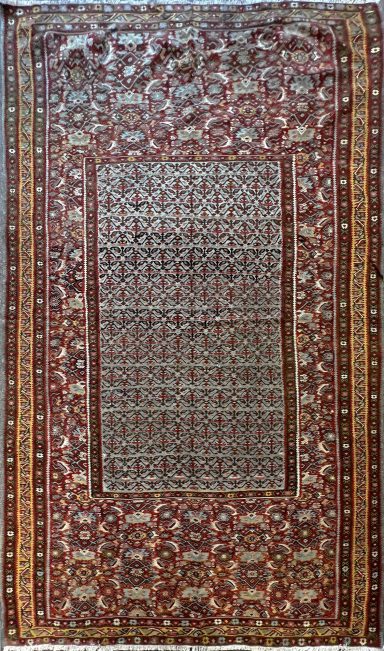 Kilim Senneh XIXe.s - N° 224